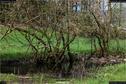 Dateiname=Steibachweiher_62.jpg
Dateigröße=489KB
Abmessungen: 1349x900
hinzugefügt am: 23. April 2018 Steibachweiher_62.jpg