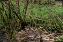 Dateiname=Steibachweiher_63.jpg
Dateigröße=421KB
Abmessungen: 1349x900
hinzugefügt am: 23. April 2018 Steibachweiher_63.jpg