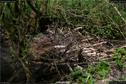 Dateiname=Steibachweiher_64.jpg
Dateigröße=350KB
Abmessungen: 1349x900
hinzugefügt am: 23. April 2018 Steibachweiher_64.jpg