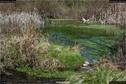 Dateiname=Steibachweiher_66.jpg
Dateigröße=343KB
Abmessungen: 1349x900
hinzugefügt am: 23. April 2018 Steibachweiher_66.jpg