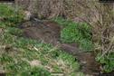 Dateiname=Steibachweiher_68.jpg
Dateigröße=367KB
Abmessungen: 1349x900
hinzugefügt am: 23. April 2018 Steibachweiher_68.jpg