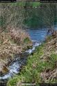 Dateiname=Steibachweiher_71.jpg
Dateigröße=190KB
Abmessungen: 601x900
hinzugefügt am: 23. April 2018 Steibachweiher_71.jpg