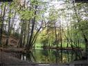 Dateiname=Steibachweiher_74.jpg
Dateigröße=505KB
Abmessungen: 1199x900
hinzugefügt am: 23. April 2018 Steibachweiher_74.jpg