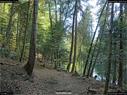 Dateiname=Steibachweiher_77.jpg
Dateigröße=479KB
Abmessungen: 1199x900
hinzugefügt am: 23. April 2018 Steibachweiher_77.jpg