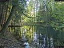 Dateiname=Steibachweiher_78.jpg
Dateigröße=492KB
Abmessungen: 1199x900
hinzugefügt am: 23. April 2018 Steibachweiher_78.jpg