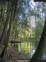 Dateiname=Steibachweiher_79.jpg
Dateigröße=279KB
Abmessungen: 675x900
hinzugefügt am: 23. April 2018 Steibachweiher_79.jpg