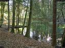 Dateiname=Steibachweiher_80.jpg
Dateigröße=450KB
Abmessungen: 1199x900
hinzugefügt am: 23. April 2018 Steibachweiher_80.jpg