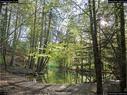 Dateiname=Steibachweiher_81.jpg
Dateigröße=530KB
Abmessungen: 1199x900
hinzugefügt am: 23. April 2018 Steibachweiher_81.jpg