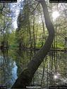 Dateiname=Steibachweiher_83.jpg
Dateigröße=283KB
Abmessungen: 675x900
hinzugefügt am: 23. April 2018 Steibachweiher_83.jpg