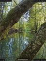 Dateiname=Steibachweiher_84.jpg
Dateigröße=237KB
Abmessungen: 675x900
hinzugefügt am: 23. April 2018 Steibachweiher_84.jpg