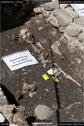 Dateiname=InselRheinau_136.jpg
Dateigröße=181KB
Abmessungen: 601x900
hinzugefügt am: 23. April 2018 InselRheinau_136.jpg