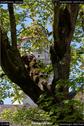 Dateiname=InselRheinau_220.jpg
Dateigröße=213KB
Abmessungen: 601x900
hinzugefügt am: 23. April 2018 InselRheinau_220.jpg