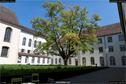 Dateiname=InselRheinau_225.jpg
Dateigröße=345KB
Abmessungen: 1349x900
hinzugefügt am: 23. April 2018 InselRheinau_225.jpg