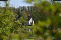 Dateiname=InselRheinau_242.jpg
Dateigröße=220KB
Abmessungen: 1349x900
hinzugefügt am: 23. April 2018 InselRheinau_242.jpg