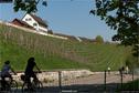 Dateiname=Rheinau_08.jpg
Dateigröße=371KB
Abmessungen: 1349x900
hinzugefügt am: 23. April 2018 Rheinau_08.jpg