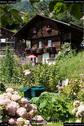 Dateiname=Brienz_008.jpg
Dateigröße=234KB
Abmessungen: 601x900
hinzugefügt am: 13. August 2018 Brienz_008.jpg