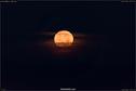 Dateiname=HarvestMoon_067.jpg
Dateigröße=106KB
Abmessungen: 1349x900
hinzugefügt am: 23. September 2018 HarvestMoon_067.jpg