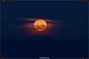 Dateiname=HarvestMoon_068.jpg
Dateigröße=129KB
Abmessungen: 1349x900
hinzugefügt am: 23. September 2018 HarvestMoon_068.jpg