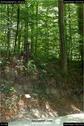 Dateiname=SchlossbergFini_65.jpg
Dateigröße=254KB
Abmessungen: 601x900
hinzugefügt am: 05. August 2018 SchlossbergFini_65.jpg