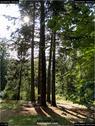 Dateiname=landart18_008.jpg
Dateigröße=263KB
Abmessungen: 676x900
hinzugefügt am: 23. September 2018 landart18_008.jpg