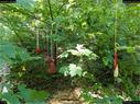 Dateiname=landart18_028.jpg
Dateigröße=424KB
Abmessungen: 1199x900
hinzugefügt am: 23. September 2018 landart18_028.jpg