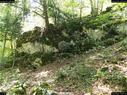Dateiname=landart18_030.jpg
Dateigröße=462KB
Abmessungen: 1199x900
hinzugefügt am: 23. September 2018 landart18_030.jpg