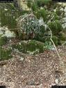 Dateiname=landart18_031.jpg
Dateigröße=289KB
Abmessungen: 676x900
hinzugefügt am: 23. September 2018 landart18_031.jpg