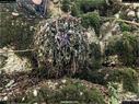Dateiname=landart18_033.jpg
Dateigröße=541KB
Abmessungen: 1199x900
hinzugefügt am: 23. September 2018 landart18_033.jpg