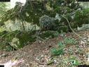 Dateiname=landart18_034.jpg
Dateigröße=518KB
Abmessungen: 1199x900
hinzugefügt am: 23. September 2018 landart18_034.jpg
