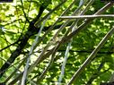 Dateiname=landart18_037.jpg
Dateigröße=264KB
Abmessungen: 1199x900
hinzugefügt am: 23. September 2018 landart18_037.jpg