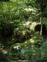 Dateiname=landart18_042.jpg
Dateigröße=270KB
Abmessungen: 676x900
hinzugefügt am: 23. September 2018 landart18_042.jpg