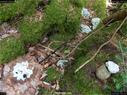 Dateiname=landart18_043.jpg
Dateigröße=407KB
Abmessungen: 1199x900
hinzugefügt am: 23. September 2018 landart18_043.jpg