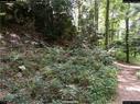 Dateiname=landart18_048.jpg
Dateigröße=530KB
Abmessungen: 1199x900
hinzugefügt am: 23. September 2018 landart18_048.jpg