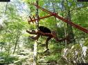 Dateiname=landart18_050.jpg
Dateigröße=553KB
Abmessungen: 1199x900
hinzugefügt am: 23. September 2018 landart18_050.jpg