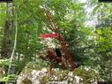 Dateiname=landart18_052.jpg
Dateigröße=539KB
Abmessungen: 1199x900
hinzugefügt am: 23. September 2018 landart18_052.jpg