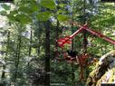 Dateiname=landart18_054.jpg
Dateigröße=510KB
Abmessungen: 1199x900
hinzugefügt am: 23. September 2018 landart18_054.jpg