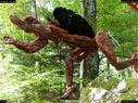Dateiname=landart18_055.jpg
Dateigröße=455KB
Abmessungen: 1199x900
hinzugefügt am: 23. September 2018 landart18_055.jpg