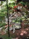 Dateiname=landart18_058.jpg
Dateigröße=294KB
Abmessungen: 676x900
hinzugefügt am: 23. September 2018 landart18_058.jpg