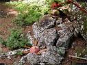 Dateiname=landart18_060.jpg
Dateigröße=519KB
Abmessungen: 1199x900
hinzugefügt am: 23. September 2018 landart18_060.jpg