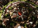 Dateiname=landart18_070.jpg
Dateigröße=422KB
Abmessungen: 1199x900
hinzugefügt am: 23. September 2018 landart18_070.jpg