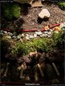 Dateiname=landart18_071.jpg
Dateigröße=224KB
Abmessungen: 676x900
hinzugefügt am: 23. September 2018 landart18_071.jpg
