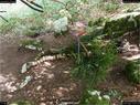 Dateiname=landart18_073.jpg
Dateigröße=471KB
Abmessungen: 1199x900
hinzugefügt am: 23. September 2018 landart18_073.jpg