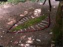 Dateiname=landart18_074.jpg
Dateigröße=443KB
Abmessungen: 1199x900
hinzugefügt am: 23. September 2018 landart18_074.jpg