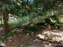 Dateiname=landart18_075.jpg
Dateigröße=475KB
Abmessungen: 1199x900
hinzugefügt am: 23. September 2018 landart18_075.jpg