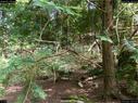 Dateiname=landart18_078.jpg
Dateigröße=476KB
Abmessungen: 1199x900
hinzugefügt am: 23. September 2018 landart18_078.jpg