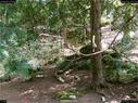Dateiname=landart18_079.jpg
Dateigröße=463KB
Abmessungen: 1199x900
hinzugefügt am: 23. September 2018 landart18_079.jpg