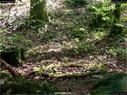 Dateiname=landart18_080.jpg
Dateigröße=496KB
Abmessungen: 1199x900
hinzugefügt am: 23. September 2018 landart18_080.jpg