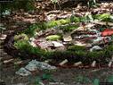 Dateiname=landart18_081.jpg
Dateigröße=359KB
Abmessungen: 1199x900
hinzugefügt am: 23. September 2018 landart18_081.jpg