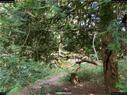 Dateiname=landart18_082.jpg
Dateigröße=466KB
Abmessungen: 1199x900
hinzugefügt am: 23. September 2018 landart18_082.jpg