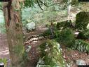 Dateiname=landart18_084.jpg
Dateigröße=460KB
Abmessungen: 1199x900
hinzugefügt am: 23. September 2018 landart18_084.jpg